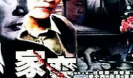 家变电视剧,命运转折的家族风云