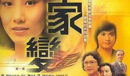 家变电视剧,命运转折的家族风云