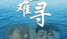 千里难寻电视剧,一段跨越千里的爱情传奇